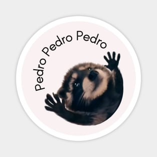 Funny Pedro raccoon meme viral video Magnet